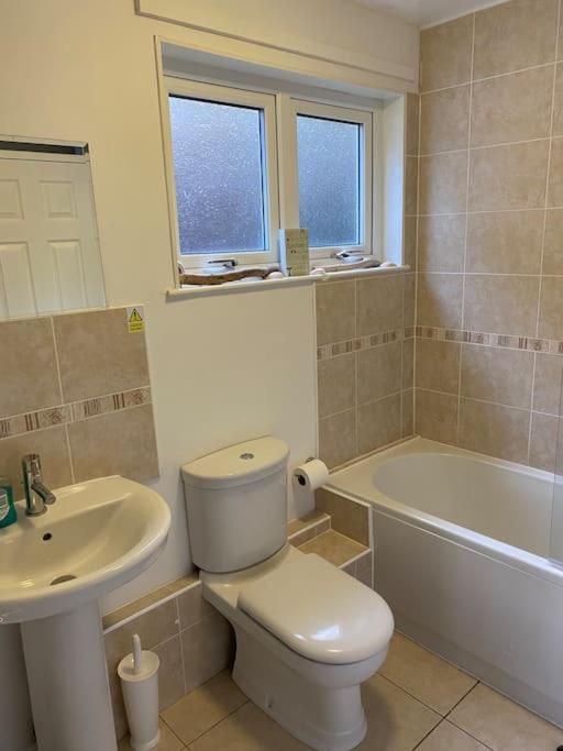 3 Bedroom Lodge With Hot Tub On Lovely Quiet Holiday Park In Cornwall Gunnislake Экстерьер фото